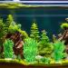 Buy Ctpeng 57-Piece Artificial Fish Tank Plants Decor Set | 2-30cm | Perfect for Aquarium Decoration - Buy Online on GoSupps.com