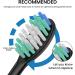 Replacement Toothbrush Heads Compatible with AquaSonic Black Vibe & Duo Series - Pack of 10 - Buy Online on GoSupps.com