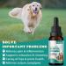 RiRywony Health Omega Oil for Dogs 2 Packs 0807 Dogs and Cats - Pets A019 - Buy Online on GoSupps.com
