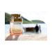 Michael Kors Wonderlust Eau de Parfum 1.7 oz Newly Launched Floral 1.7 Fl Oz (Pack of 1) - Buy Online on GoSupps.com