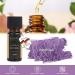 Pajoma 10ml Patchouli Fragrance Oil - 100% Natural Aromatherapy Massage & Diffuser Oil | Premium Quality - Buy Online on GoSupps.com