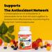 Nutridom Multi Antioxidant Formula Broad Spectrum Antioxidant Supplement Contains Coenzyme Q10 NAC Alpha Lipoic Acid Beta-Carotene Vitamin B12 Vitamin B6 Vitamin E Folate & Selenium - Non-GMO Gluten Free Vegetarian Capsules (60 Count) - Buy Online on GoSupps.com