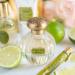 Tocca Florence Women's Perfume Travel Spray 0.34 oz (10 ml) - Classic Floral Bergamot Pear Gardenia Fragrance 0.34 Fl Oz (Pack of 1) - Buy Online on GoSupps.com