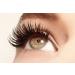 Rev Pro Gold Tweezer for 3D & 6D Eyelash Extension by PINKLAB - Buy Online on GoSupps.com