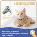 Supet Escape-Proof Cat Harness and Lead Set - Adjustable Lightweight Vest for Walking - Grey (M Size) - Ideal for Small to Large Cats - Buy Online on GoSupps.com