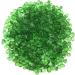 Natural Crystal Rough 50g 7-9mm Green Glass Gravel Glaze Stone Rock Polished Aquarium Specimen Decor Natural Quartz Crystals Home Decoration ERTEYIN - Buy Online on GoSupps.com