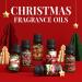 SALKING Christmas Fragrance Oils Gift Set - Perfect Scents for Soaps, Candles, and Diffusers - Buy Online on GoSupps.com