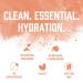 BioSteel Hydration Mix Sugar-Free with Essential Electrolytes - Peach Mango - 12 Packets - Buy Online on GoSupps.com