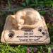 SoMiss Personalized Pet Memorial Stone with Sleeping Kitten | 8x6.5x3 Grave Marker - Buy Online on GoSupps.com