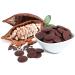 Sunfood Organic Cacao Paste 1 lb (454 g) - Premium Raw Cocoa for Baking & Smoothies - Buy Online on GoSupps.com
