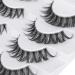 Geeneiya Clear Band Cat Eye Lashes Pack - 7 Pairs Natural Wispy Mink DD Curl Russian Strip Short Volume False Eyelashes 15mm Manga - Best Quality Clear Band Fake Lashes - Buy Online on GoSupps.com