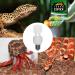 Terra Exotica Compact Mini UVB 13 Watt Full Spectrum Daylight Lamp - Choose 2.0 5.0 or 10.0 UVB for Terrariums - Buy Online on GoSupps.com