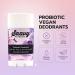 2 PACK- Saavy Naturals Probiotic Deodorant Aluminum-Free Baking Soda Free No Residue All Day Protection for Women and Men Natural Vegan Formula Lavender Chamomile - 1.7 Oz - Buy Online on GoSupps.com