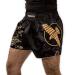 Hayabusa Falcon Muay Thai Shorts Small Black