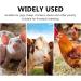 Waterproof Pig Destrus Detector | Precision Heat Tester for Farm Animals - User-Friendly Lightweight & Durable - Buy Online on GoSupps.com