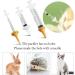 Vibury Mini Pet Feeding Kit - 23 Silicone Nipples & Syringes for Puppies Dogs & Cats - Perfect for International Shipping - Buy Online on GoSupps.com