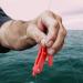 Pack of 8 Heavy Tension Snapper Weight Release Clip Downrigger Outrigger Release Clip Long Line Snaps for Planer Board Offshore Fishing - Buy Online on GoSupps.com
