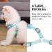 Rennaio Dog Harness No Pull | Adjustable Puppy Dishes Set | Ultra Breathable Padded Chest Harness & Leash for Small & Medium Dogs (Cyan S) - Buy Online on GoSupps.com