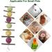 GNCLOUD Rabbit Toys: Apple Stick, Rose & Grass Ball - Hanging Boredom Breaker Treats for Hamsters, Chinchillas, Guinea Pigs, Gerbils - 1pc - Buy Online on GoSupps.com
