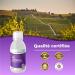  BANDINI Bandini OPC Liposomal Liquid 250ml - Grape Seed Extract 95% OPC (200mg per dose) - Optimal absorption with technology - Buy Online on GoSupps.com