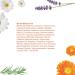 Buy Bio Oil Original Skincare Oil for Stretch Marks Scars & Uneven Skin Tone - Vitamin E | 4.23 Fl Oz | All Skin Types - Buy Online on GoSupps.com