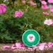 Buy Love the Planet Vegan Mineral Blusher Shade Pink - Eco-Friendly Refillable Tin | International Shipping Available - Buy Online on GoSupps.com