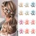 Ahoney 12Pcs Crystal Mini Flower Hair Clips for Women - Bling Bling Hair Accessories in 6 Colors - Buy Online on GoSupps.com