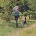 Trixie Jogging Line for Dogs with Belly Belt M-L | 1.20m Light Blue Leash for Medium to Large Dogs - Ideal for Sports & Movement - 12765 - Buy Online on GoSupps.com