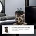 Milists Plush-Dressed Anti-Scratch Leather Glasses Holder - Silver Leopard for Desks & Bedside Tables | Shop Internationally - Buy Online on GoSupps.com