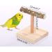 QBLEEV Bird Training Stand Perch for Small to Medium Parrots - Natural Wood Play Gym Toy for Parakeets, Cockatiels, Conures, Lovebirds, Finch - Buy Online on GoSupps.com