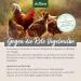 Aniforte Mites Stop Silica for Chickens - Effective Natural Mite Control with Atomizers | Combat Mites & Red Bird Mite Safely - Buy Online on GoSupps.com