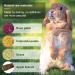 GNCLOUD Rabbit Toys: Apple Stick, Rose & Grass Ball - Hanging Boredom Breaker Treats for Hamsters, Chinchillas, Guinea Pigs, Gerbils - 1pc - Buy Online on GoSupps.com