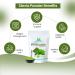 Herbal Magic's organic Stevia Leaf Powder Sweetener Natural Dried Powder for Super Smoothie Shake Juice Baking - Free From Fillers & preservatives - 100g (Pack of 3) 100 g (Pack of 3) - Buy Online on GoSupps.com