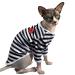 Pumyporeity sphynx hairless cat cotton clothes sweater nied breathable t-shirts pet clothing round collar vest kitten shirts soft skin-friendly clothing (blue stripes xs) xs b-blue strip