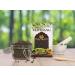 AOZA BIRJU MAHAVIR VaividangBai BidangVidangaEmbelia RibesFalse Black Pepper Natural 100 Gram (BMKB-186) - Buy Online on GoSupps.com