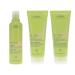 Aveda Be Curly Shampoo 8.5 Oz  Conditioner 6.7 Oz & Curl Enhancer 6.7 Oz