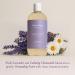Deep Steep Body Wash Lavender Chamomile 17 oz Hydrating Shower Gel with Hyaluronic Acid Shea Butter Aloe Vera & Argan Oil Vegan Clean Beauty Clean & Refreshed Skin Lavender Chamomile 17 Fl Oz (Pack of 1) - Buy Online on GoSupps.com