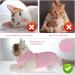 cobee Cat Professional Recovery Suit for Abdominal Wounds or Skin Diseases Kitten Surgery Recovery Suit E-Collar Alternative for Cats After Surgery Wear Pajama Suit (M Size Pink) - Buy Online on GoSupps.com