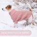 Shop Liebeedd Medium Dog Sweater - Cozy Fleece Christmas Wear for French Bulldogs | Warm & Stylish Pink Sweater for Winter - Buy Online on GoSupps.com