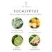 Thymes Cologne Spray Pen - 0.34 Fl Oz - Eucalyptus Eucalyptus 0.34 Fl Oz (Pack of 1) - Buy Online on GoSupps.com