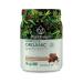 PlantFusion Complete Organic Plant Based Pea Protein Powder | Fermented Superfoods | Vegan, Gluten Free, Non Dairy, Soy Free, Chocolate, 1 LB Chocolate 15.87 Ounce (Pack of 1)