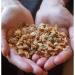 Keto Peanut Butter Crunch Granola by Keto and Co - 2.7g Net Carbs/Serving, Gluten Free, Diabetic Friendly, No Added Sugar - 10 Servings, 10 Ounce - Buy Online on GoSupps.com