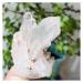 1PC Natural Clear Crystal Cluster Crystal Cluster (Size : 250-300g)