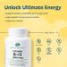 Earth's Splendor Energy + Muscle Support Energy Supplements: Vitamin B12 & Magensium Bundle. Gluten & Wheat Free No Artificial Flavors & Preservative: Helps Metabolism Bone & Muscle Health - Buy Online on GoSupps.com