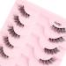 KANGQL Half Lashes False Eyelashes Natural Half Lashes Short Wispy Clear Band Lashes Pack Cat Eye 3D Faux Mink Lashes Fake Eyelashes 10Pair - Buy Online on GoSupps.com