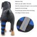Dog Right Rear Leg Hock Brace - Neoprene Material Prevents Injuries Provides Stability with Support Strip Reflective Strip for Dogs (S) - Buy Online on GoSupps.com