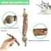 Organic Catnip Sticks Set - 3 Pieces for Dental Care & Chewing Toys | Cat Dental Health Products - Buy Online on GoSupps.com