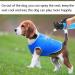 Pet Cooling Vest Cool Down Vest for Summer Ice Vest for Small Medium and Large Dogs (Size : M) - Buy Online on GoSupps.com
