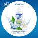 Dial Anti-Bacterial White Tea Liquid Soap 7.5oz Pump - Pack of 3 - Buy Online on GoSupps.com
