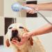 HPYLIF Pet Shower Sprayer & Scrubber Tool - Ultimate Spray Set for Dogs & Cats | International Shipping Available - Buy Online on GoSupps.com